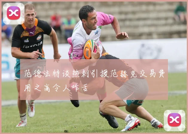 范德法特谈热刺引援范赫克交易费用之高令人咋舌