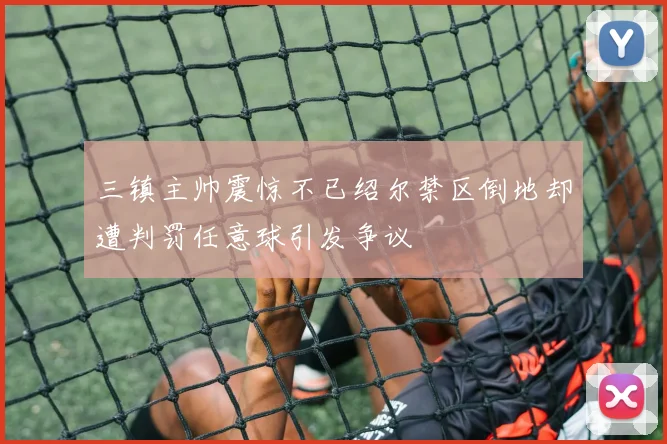 三镇主帅震惊不已绍尔禁区倒地却遭判罚任意球引发争议
