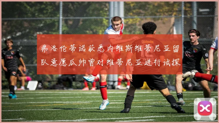 弗洛伦蒂诺获悉内维斯维蒂尼亚留队意愿瓜帅曾对维蒂尼亚进行试探