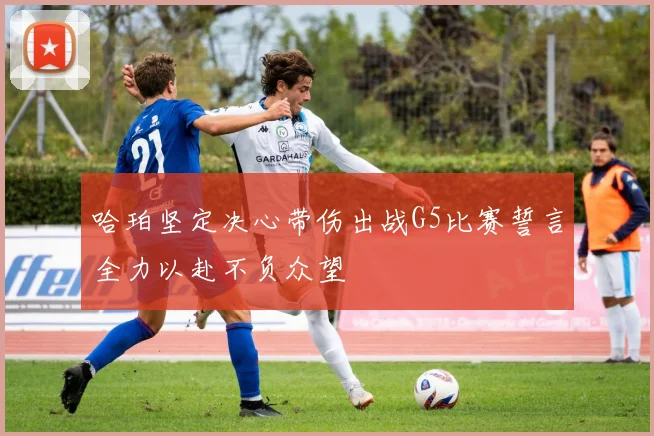 哈珀坚定决心带伤出战G5比赛誓言全力以赴不负众望