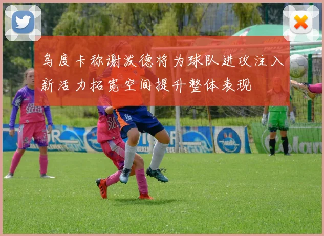乌度卡称谢泼德将为球队进攻注入新活力拓宽空间提升整体表现